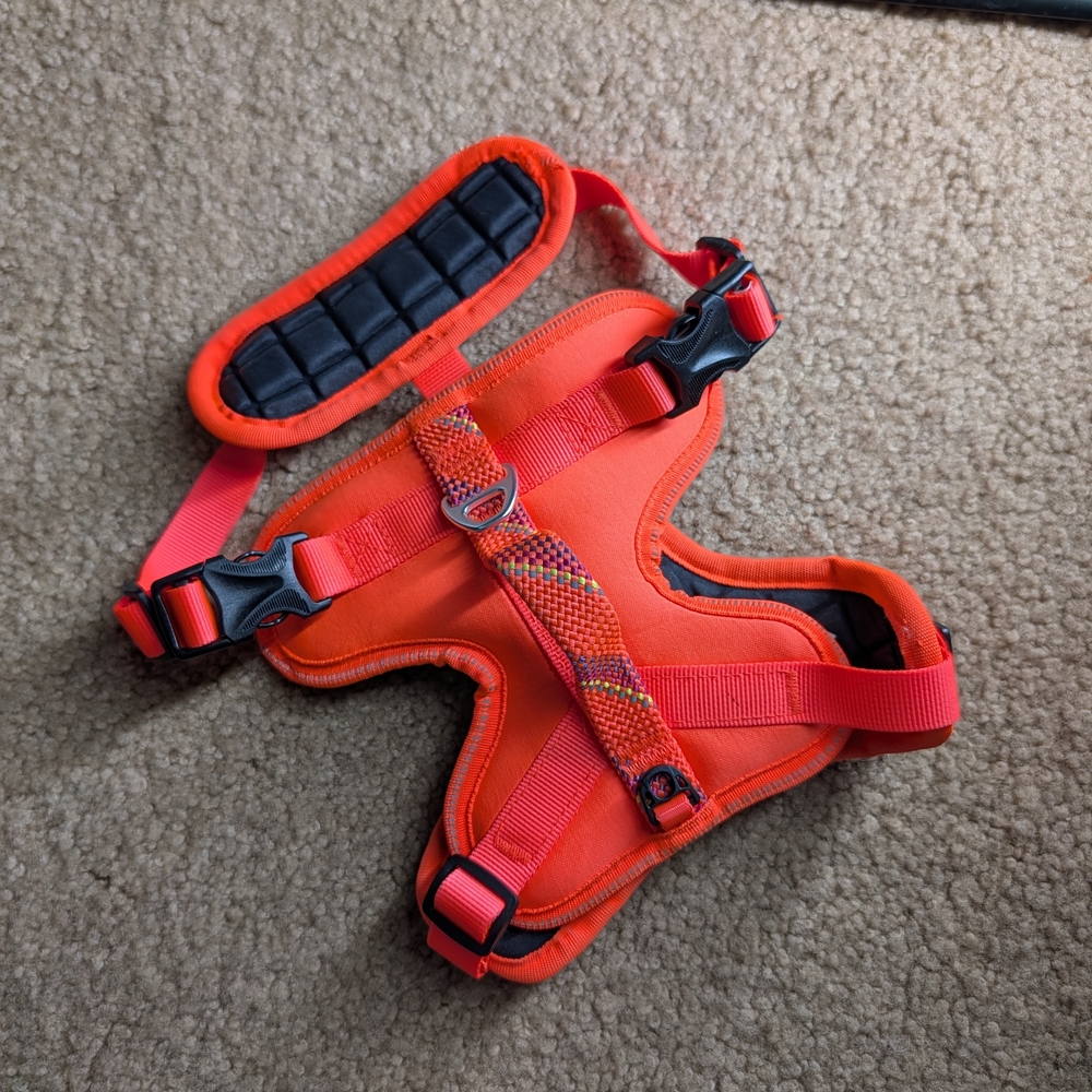 Orange Dog Safety Harness